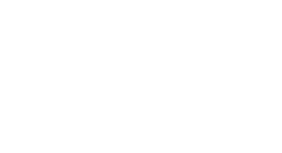 White footer logo